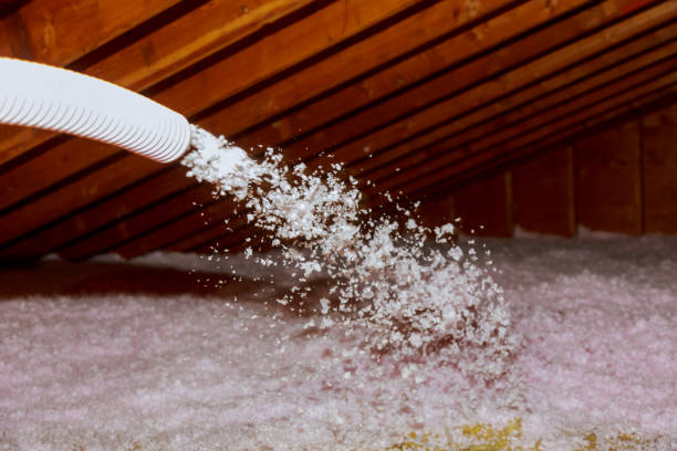 Best Cellulose Insulation in Lincoln, ID